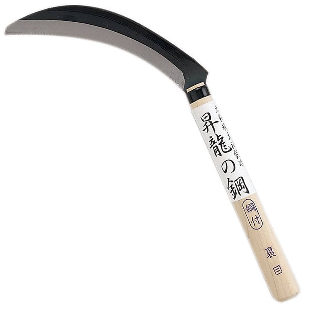 Amazon.co.jp: And Dragons of the Steel Ended Saw with Steel